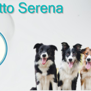 Progetto Serena “con il fiuto ti aiuto”